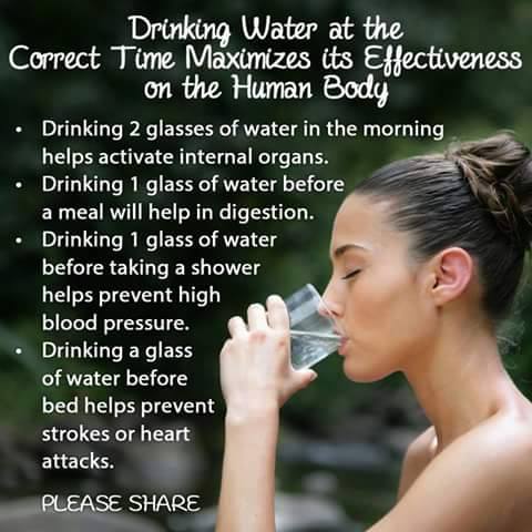 Why drink water?